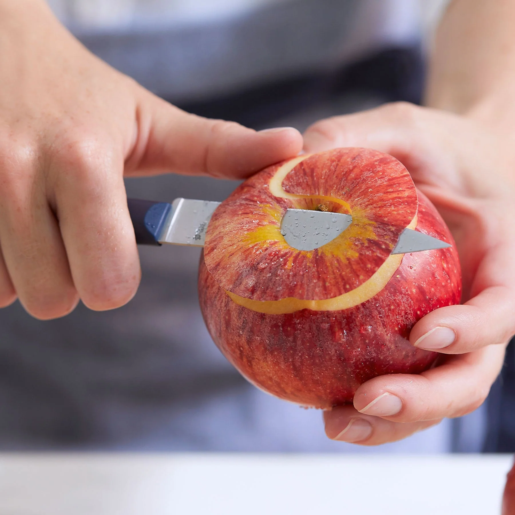 Essential+ Paring Knife - Image 4