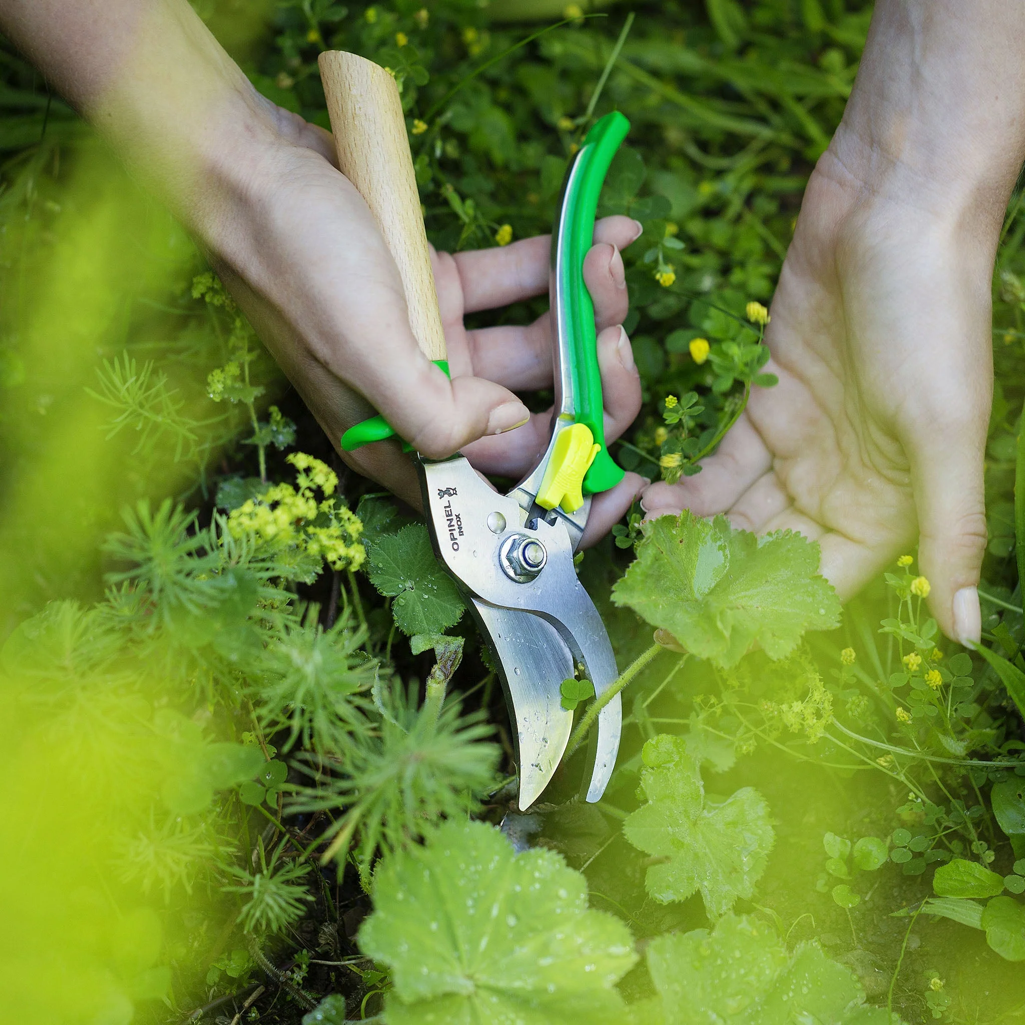 Hand Pruners - Image 4
