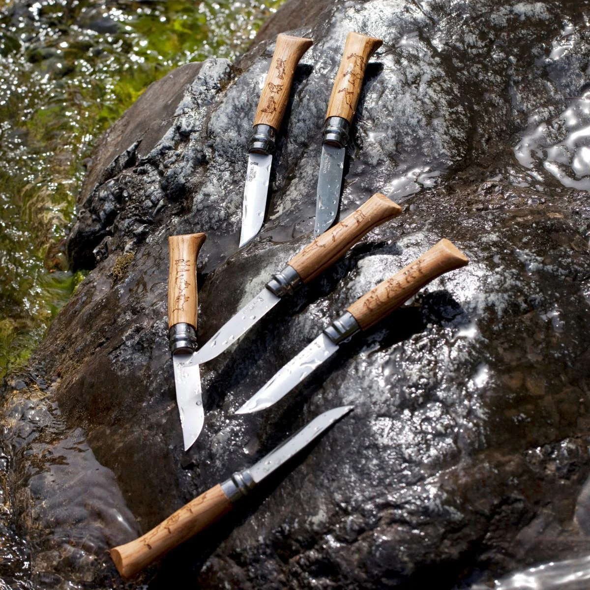 No.08 Oak Engraved Handle Folding Knife - Animalia - Image 3